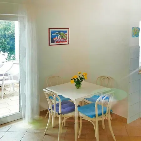 Tonka - Cin10005-cya Tatil Evi